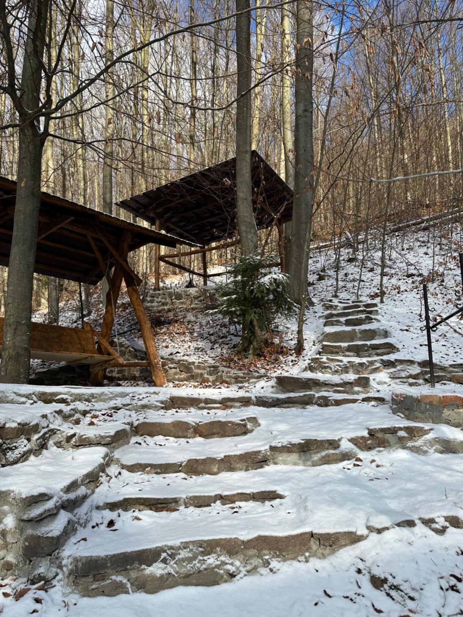 Домик В Горах Vila Tur'ya Paseka Exterior foto